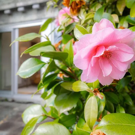 2 Sweden Bank Сasa de vacaciones *