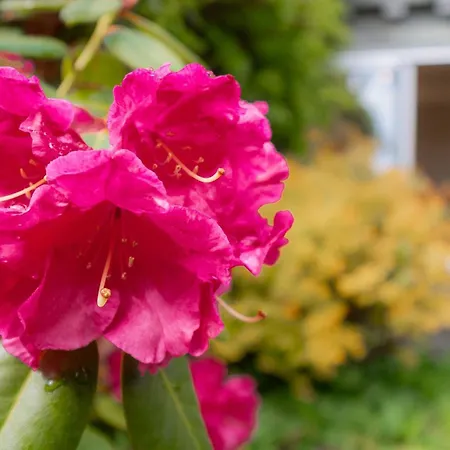 Сasa de vacaciones 2 Sweden Bank Ambleside